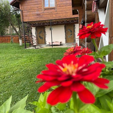 Villa Pidkova Werchowyna Exterior foto