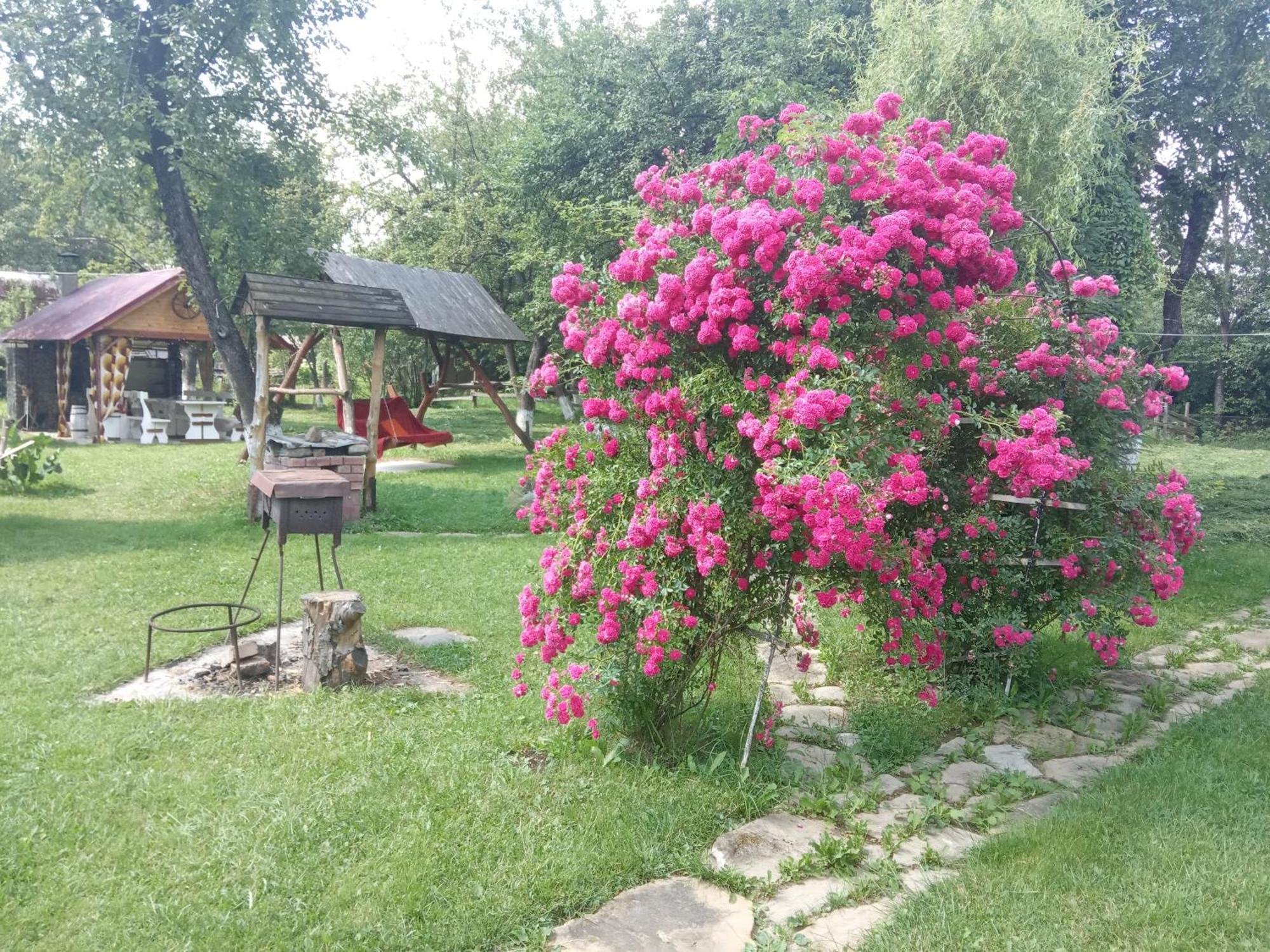Villa Pidkova Werchowyna Zimmer foto