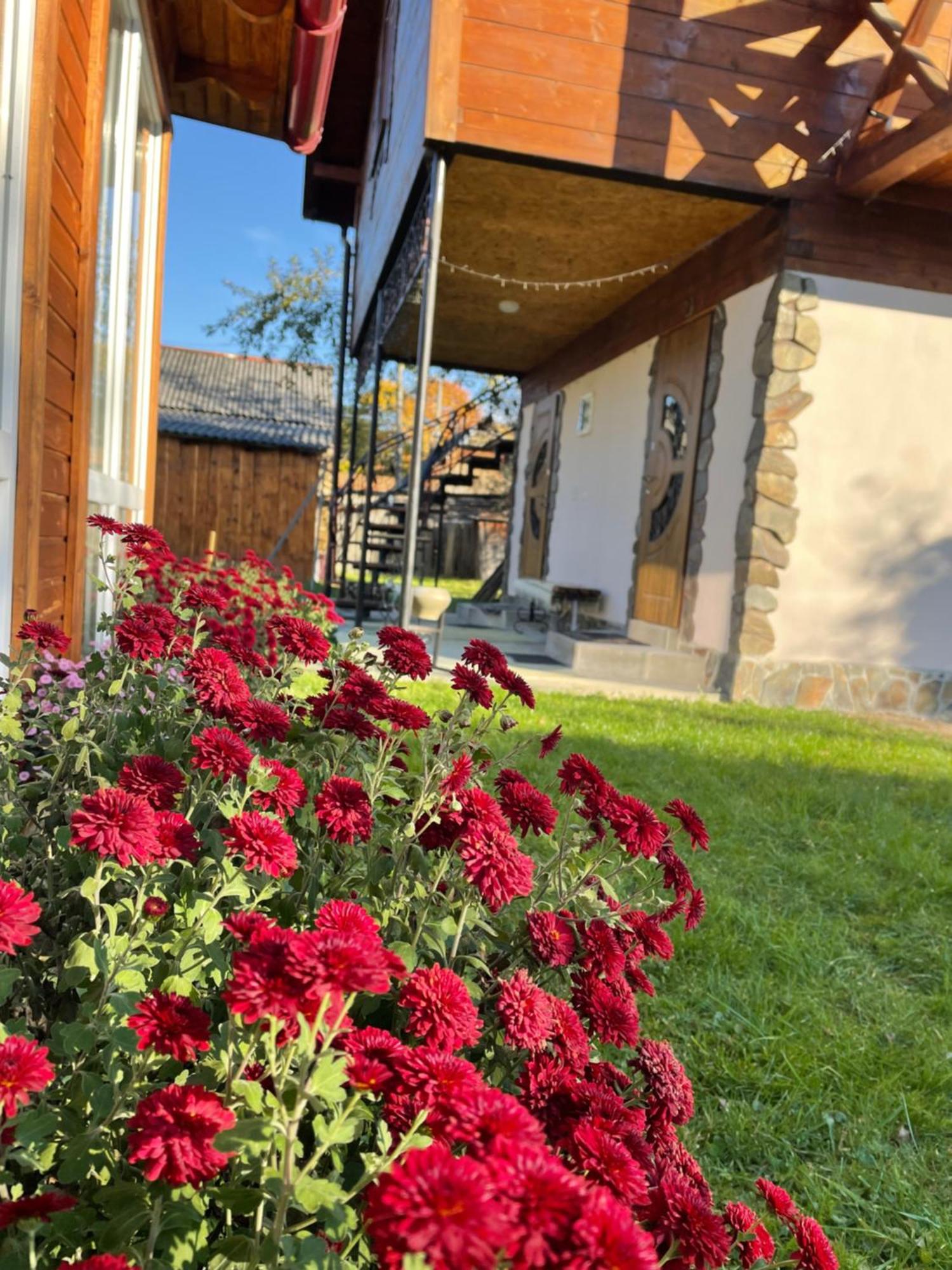 Villa Pidkova Werchowyna Exterior foto